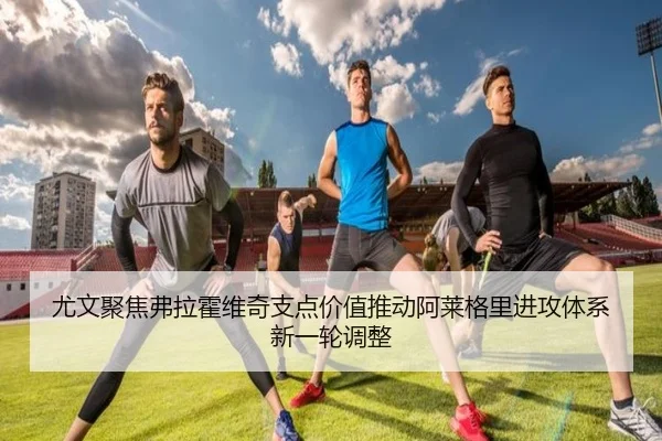 尤文聚焦弗拉霍维奇支点价值推动阿莱格里进攻体系新一轮调整